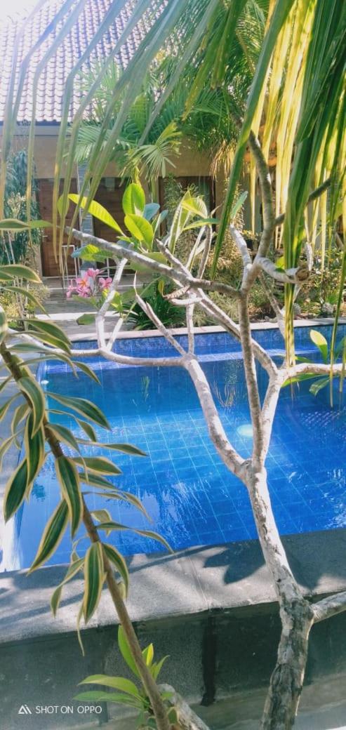 Belong Home Stay Lembongan Esterno foto