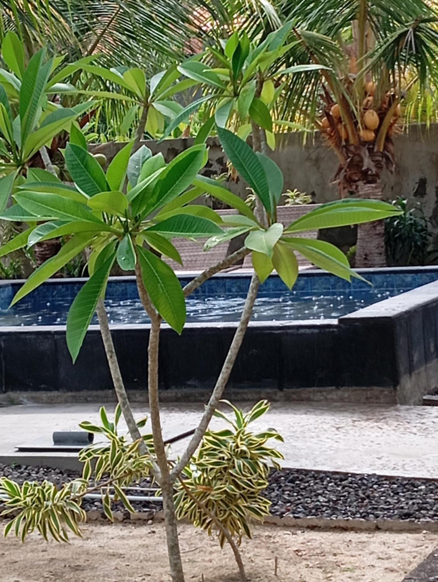 Belong Home Stay Lembongan Esterno foto